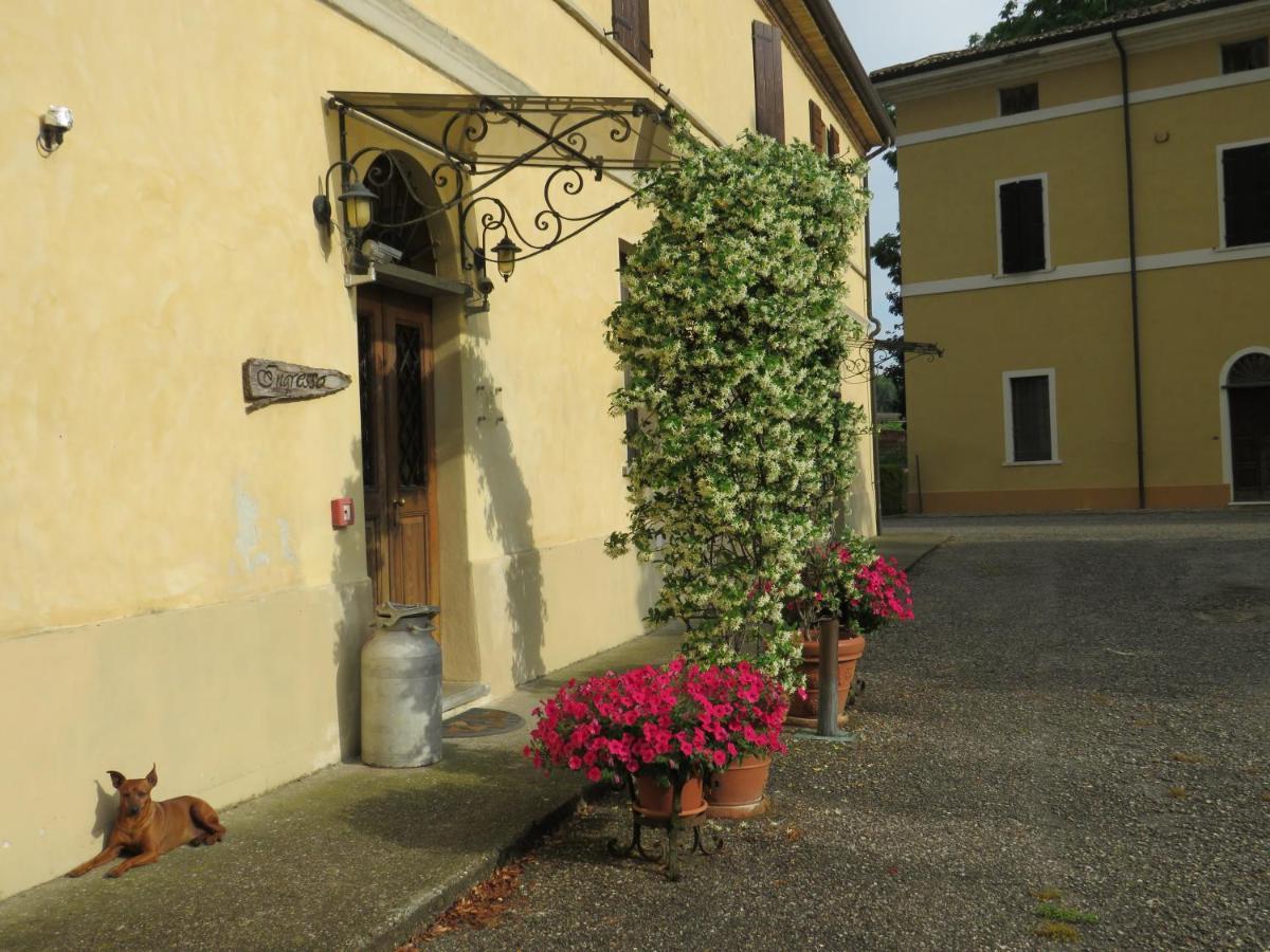 Agriturismo Rivieraoglio Piadena Екстер'єр фото