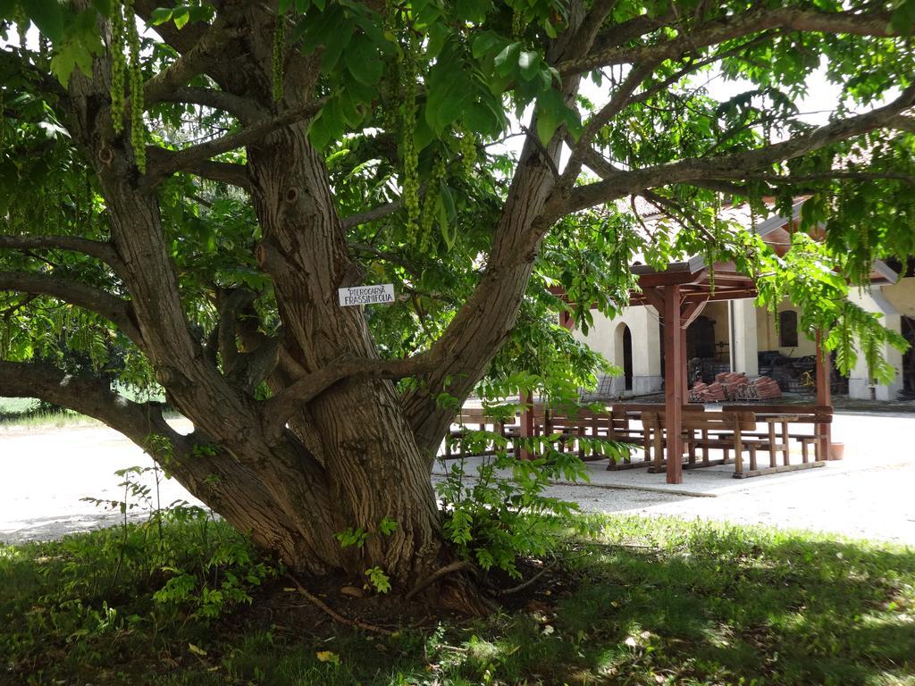 Agriturismo Rivieraoglio Piadena Екстер'єр фото