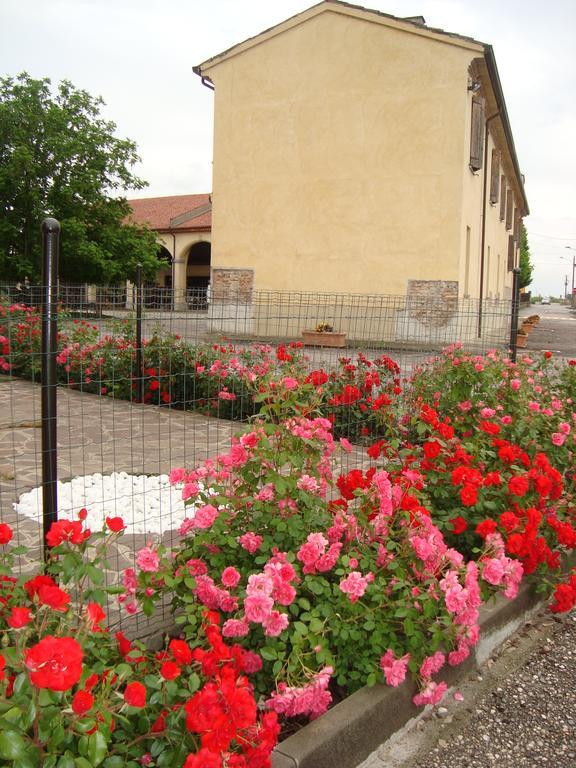 Agriturismo Rivieraoglio Piadena Екстер'єр фото